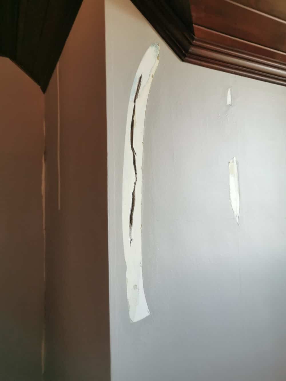Timber and Plaster Repairs